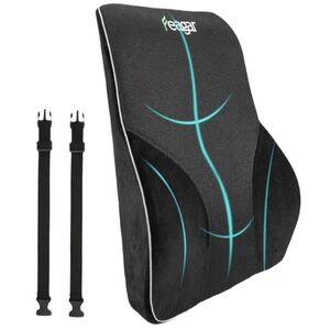 Feagar Ergonomic Black Lumbar Support Cushion